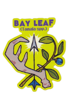 Bay Leaf Plant- Die-Cut Vinyl Glossy Sticker