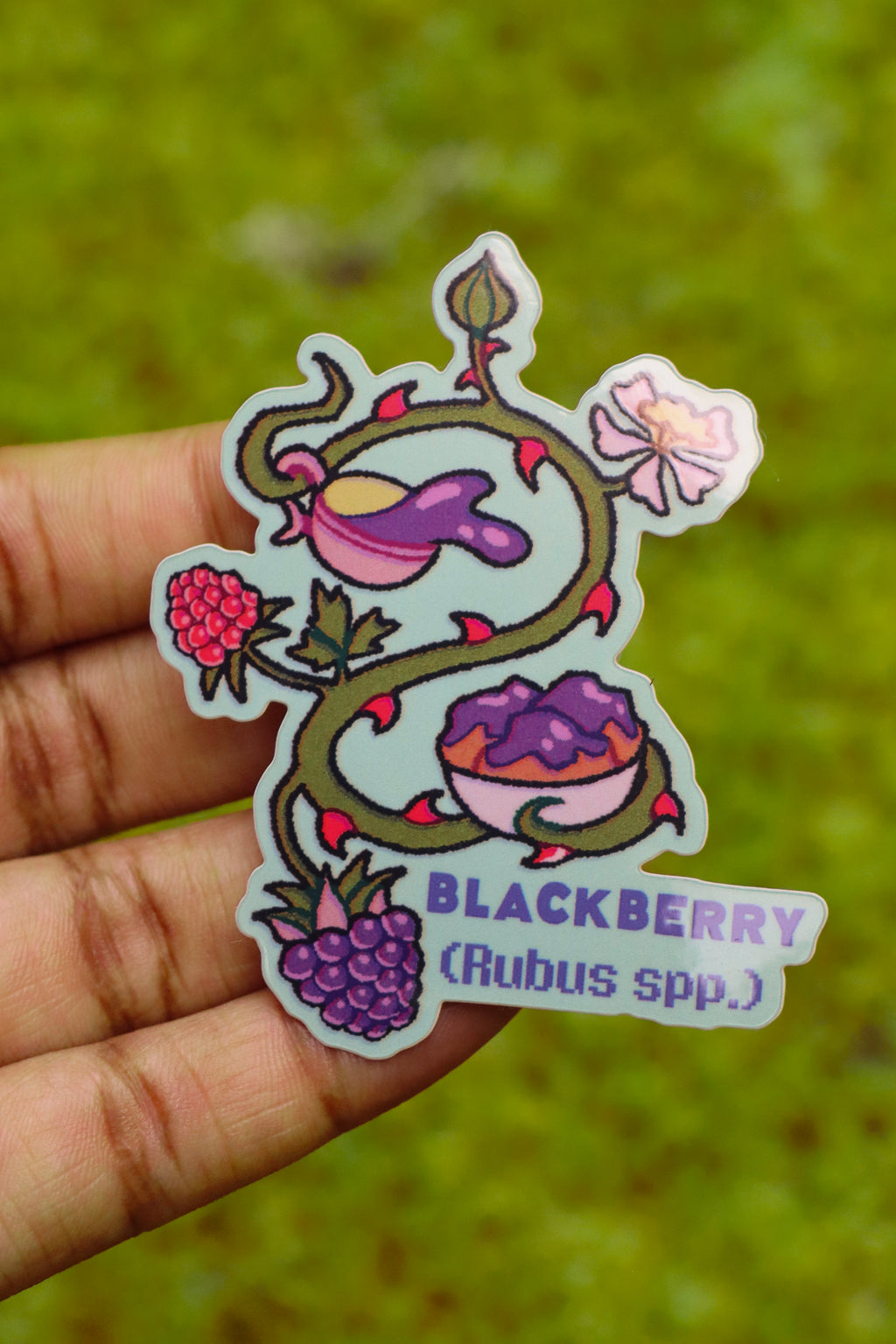 Blackberry Plant- Die-cut Vinyl Glossy Sticker