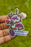 Blackberry Plant- Die-cut Vinyl Glossy Sticker