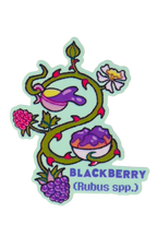 Blackberry Plant- Die-cut Vinyl Glossy Sticker