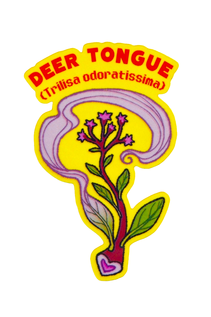 Deer Tongue Plant- Die-cut Vinyl Glossy Sticker