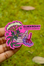 Elderberry Plant- Die-Cut Vinyl Glossy Sticker
