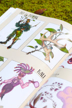 The Gullah Geechee Plant Guide Coloring Book: Deluxe Edition