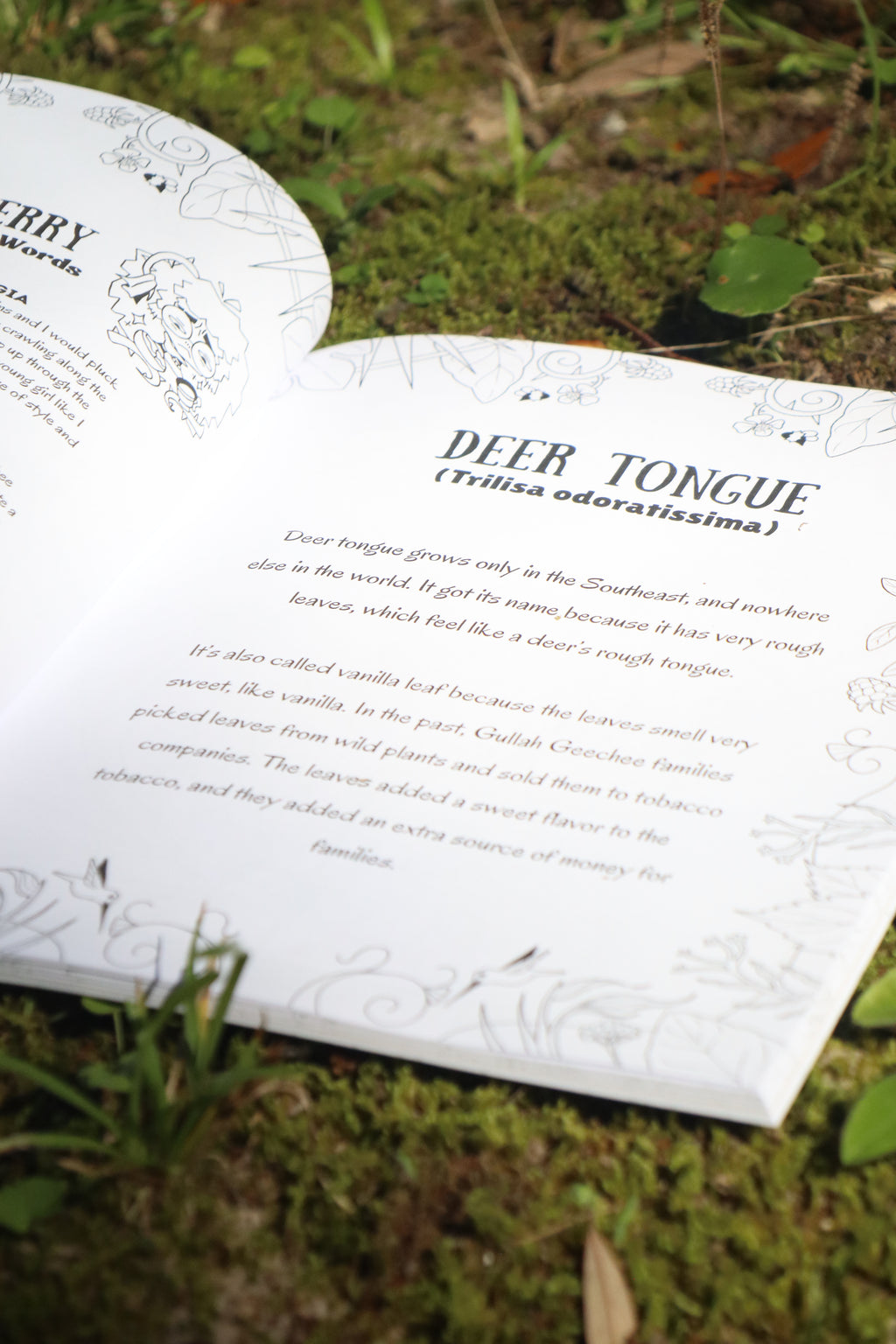 The Gullah Geechee Plant Guide Coloring Book: Deluxe Edition