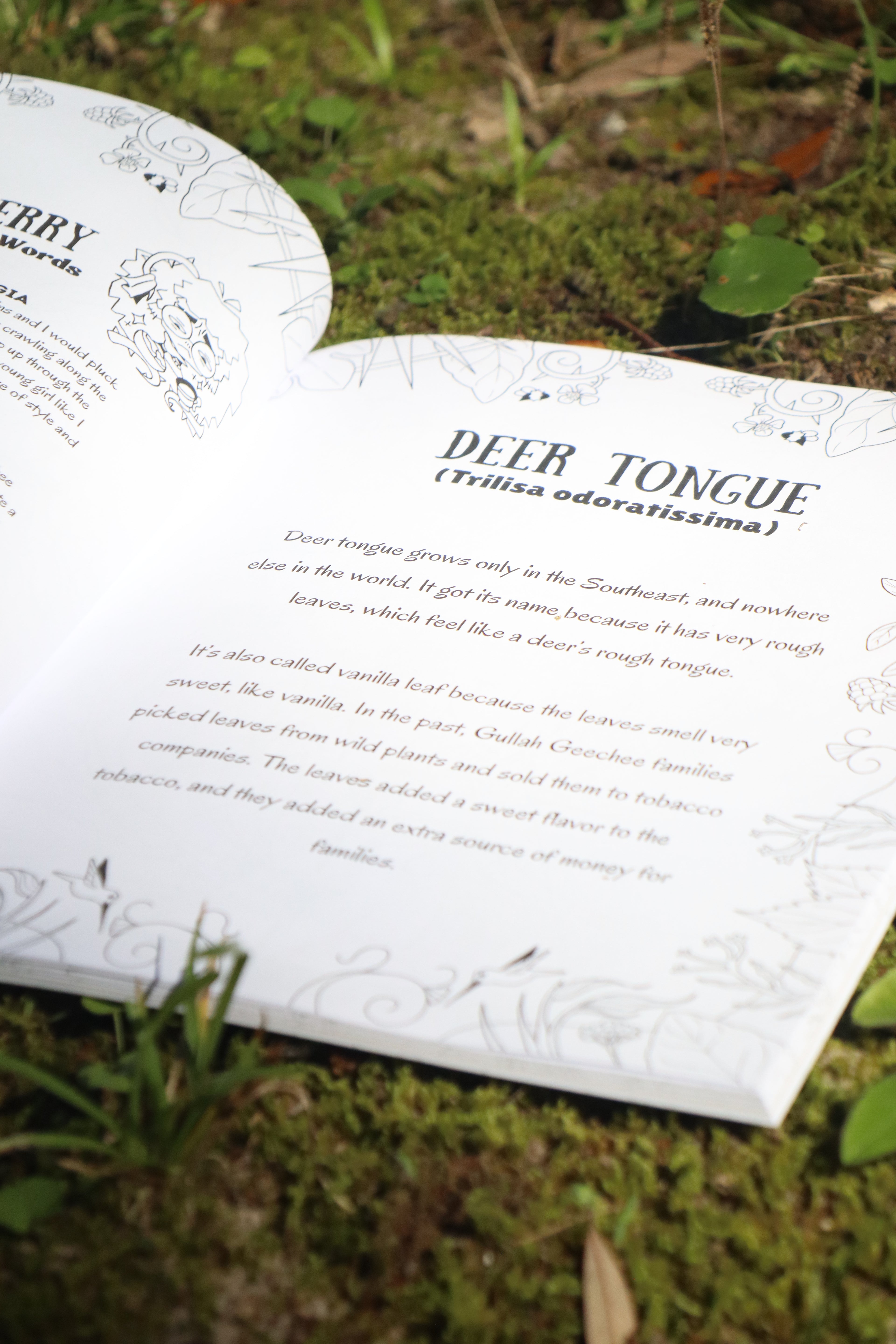The Gullah Geechee Plant Guide Coloring Book: Deluxe Edition