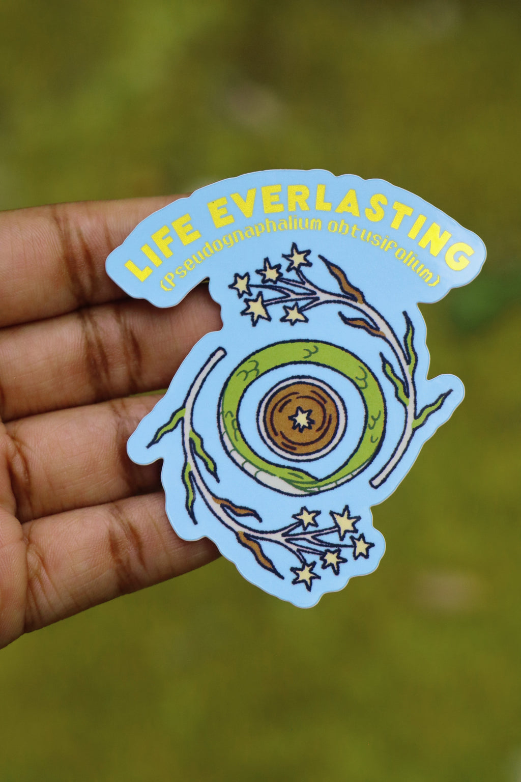 Life Everlasting Plant- Die-Cut Vinyl Glossy Sticker