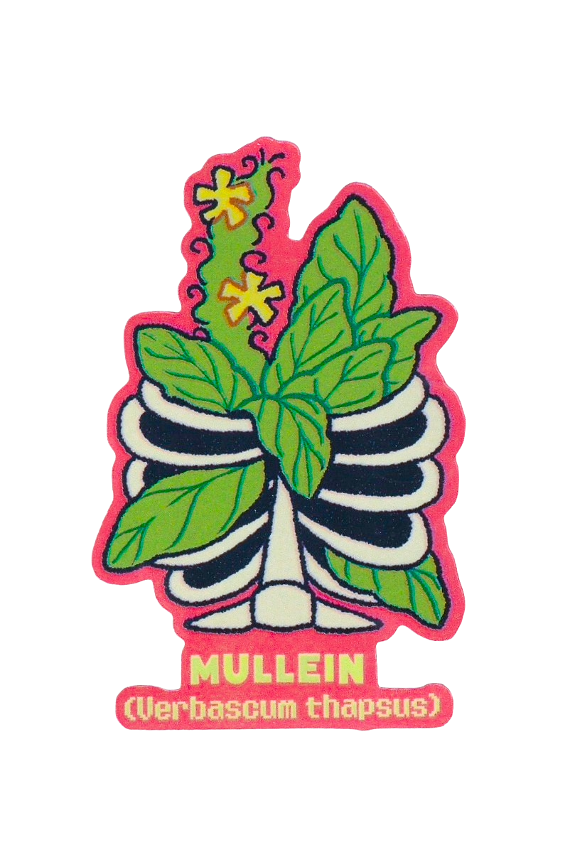 Mullein Plant - Die-Cut Vinyl Glossy Sticker