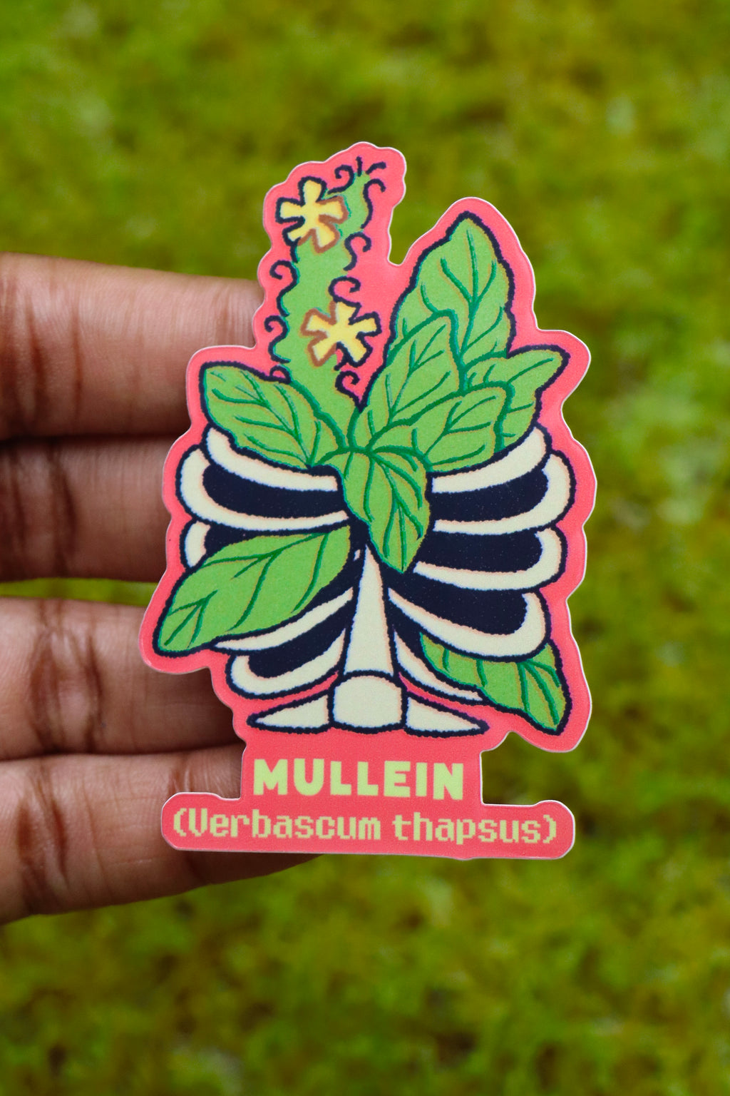 Mullein Plant - Die-Cut Vinyl Glossy Sticker