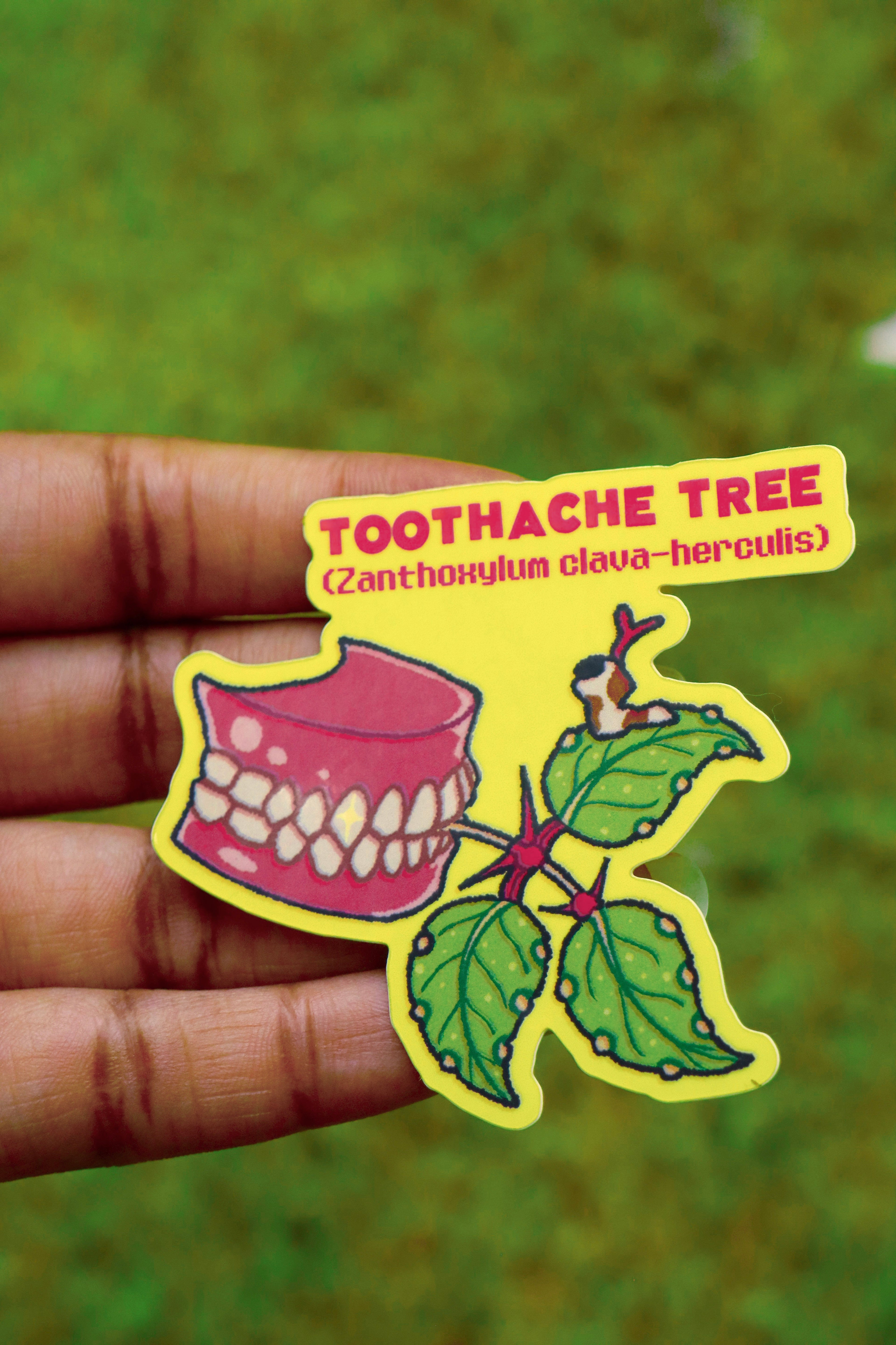 Toothache Tree Plant - Die-Cut Vinyl Glossy Sticker