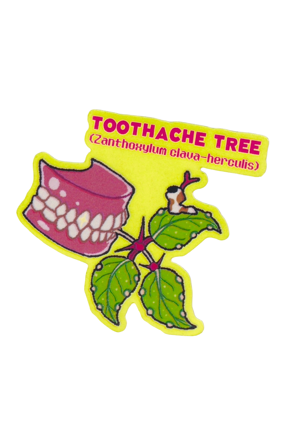 Toothache Tree Plant - Die-Cut Vinyl Glossy Sticker