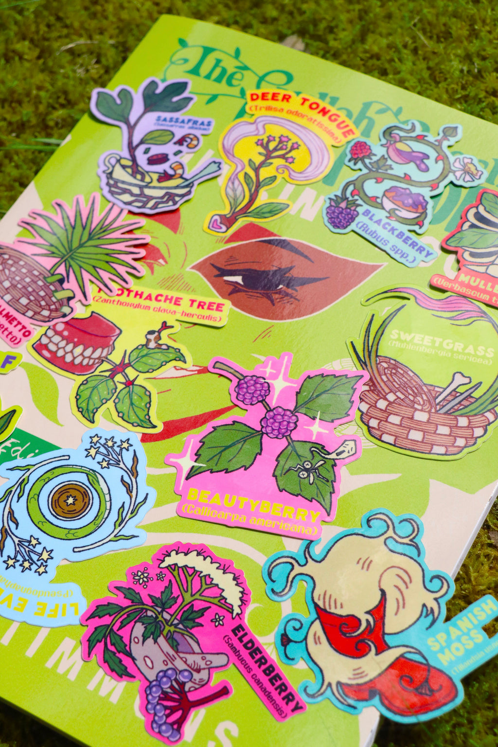 Bay Leaf Plant- Die-Cut Vinyl Glossy Sticker